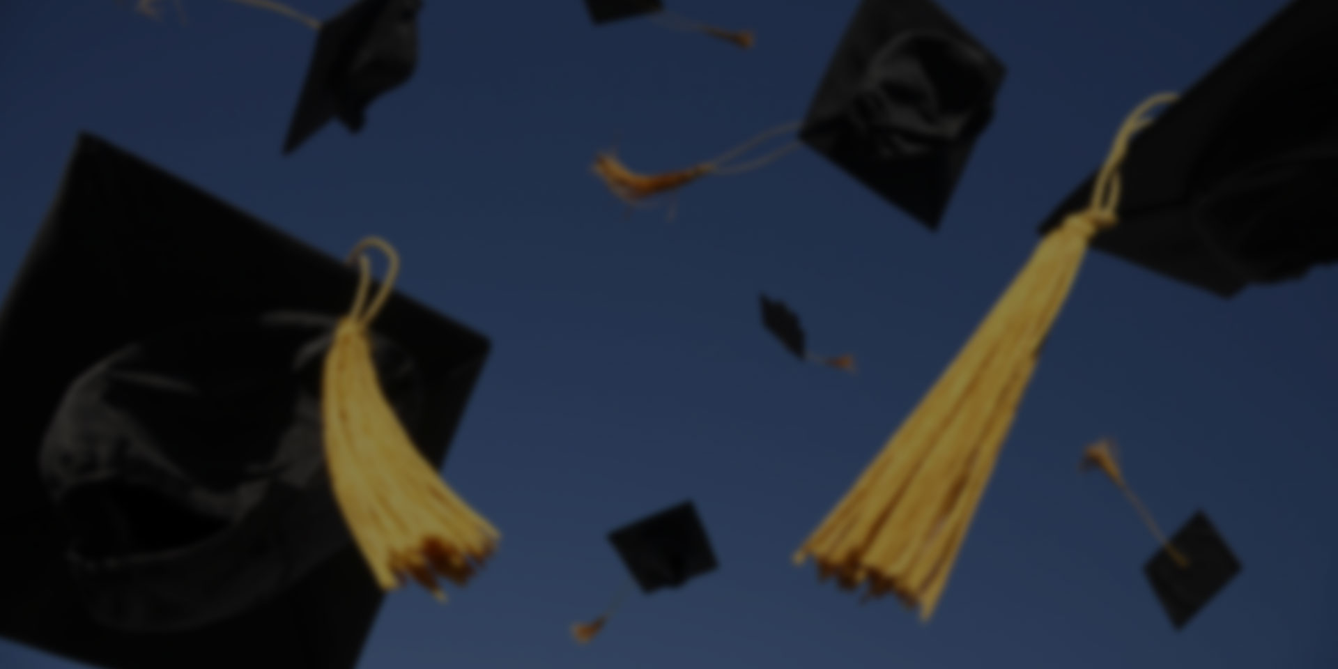 licenciaturas-alcra Licenciaturas ALCRA